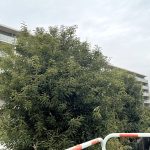 グランシーナ多摩川リバーコート