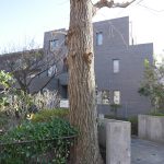 鎌倉雪ノ下ガーデンフラッツ